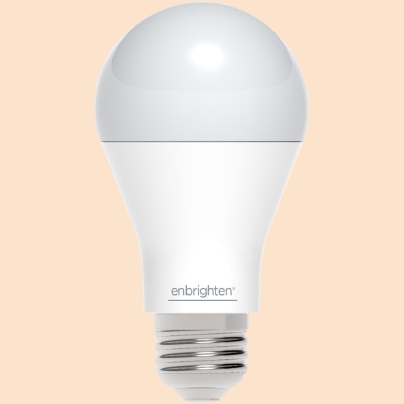 Tampa smart light bulb